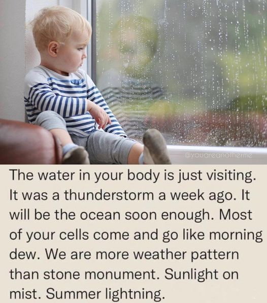 This image has an empty alt attribute; its file name is water-in-our-bodies.jpg